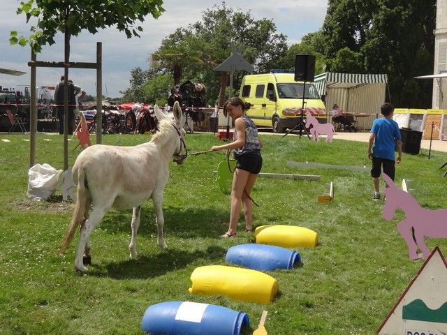 fete 2016 (234).jpg